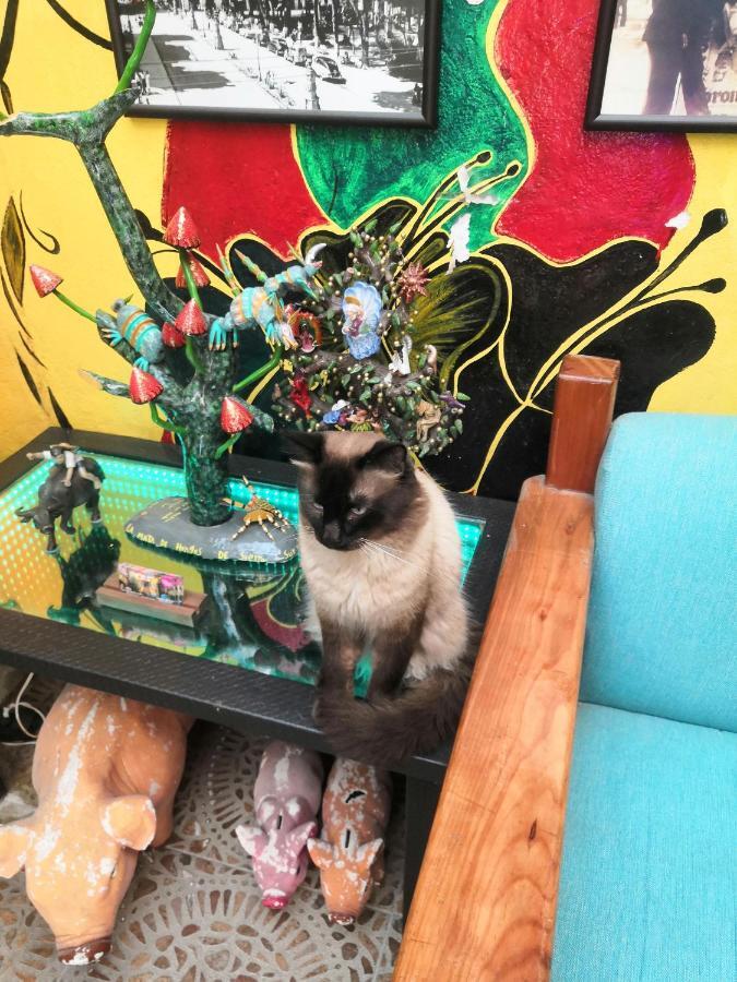 Hostal Oaxaca Magic ภายนอก รูปภาพ
