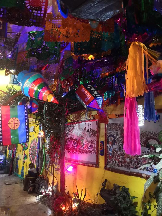 Hostal Oaxaca Magic ภายนอก รูปภาพ