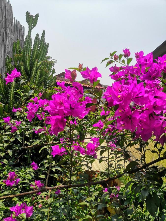 Hostal Oaxaca Magic ภายนอก รูปภาพ